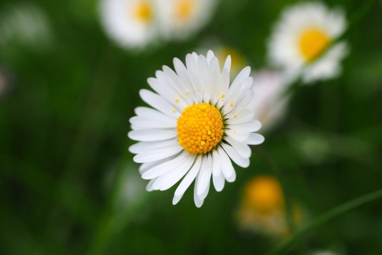 Corrie Ten Boom Quotes