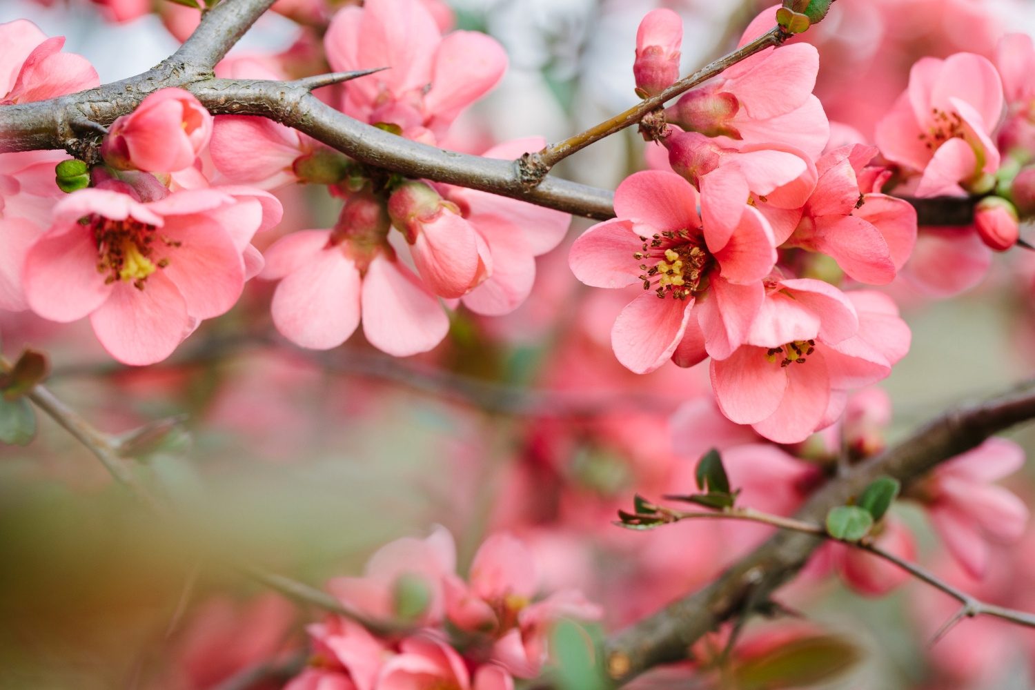 How to Get over Infidelity Pain