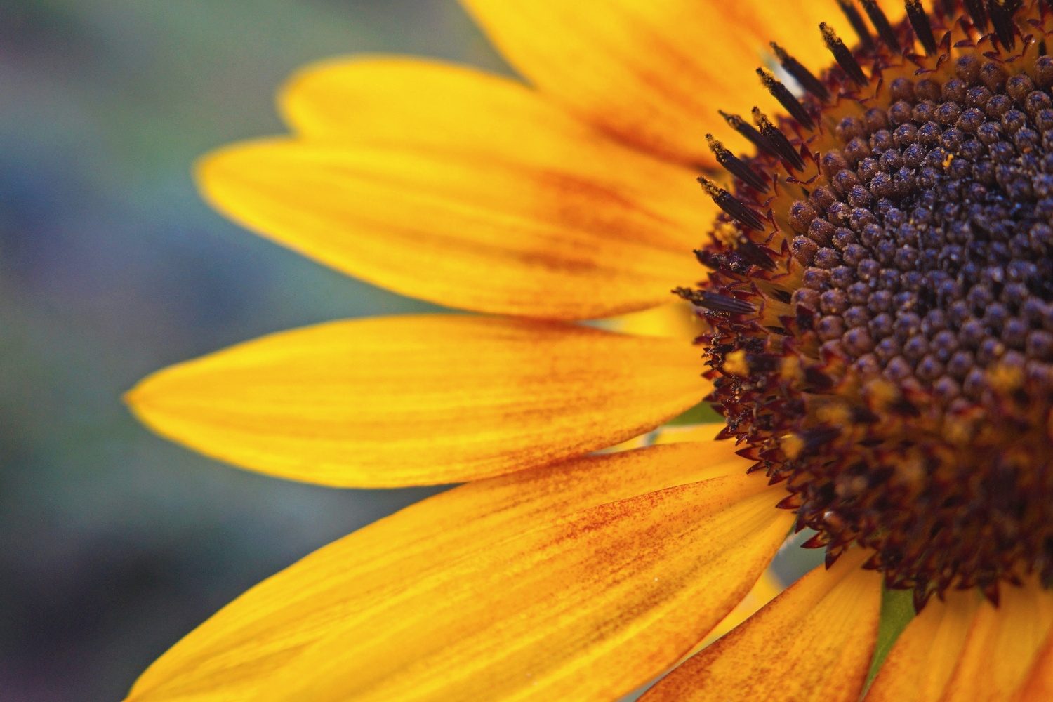 How to Recognize and Overcome Victim Mentality