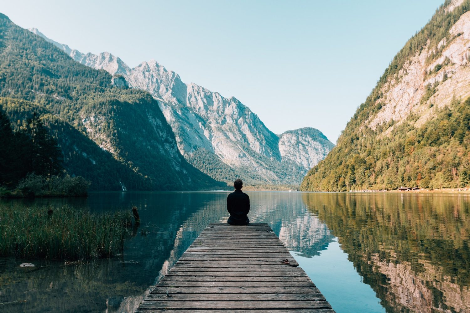 19 Don Miguel Ruiz Quotes