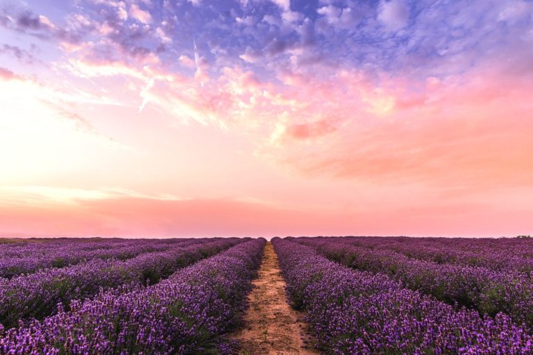 When to End a Relationship