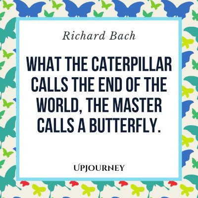 "What the caterpillar calls the end of the world the master calls a butterfly." — Richard Bach #butterfly #quotes #catterpillar