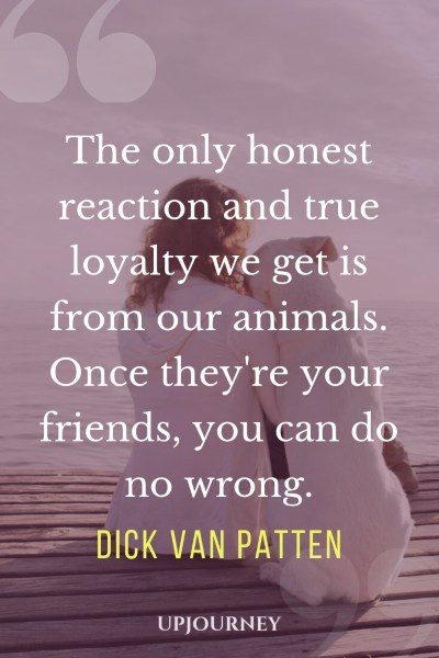 he only honest reaction and true loyalty we get is from our animals. Once they're your friends, you can do no wrong. — Dick Van Patten
