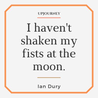 I haven't shaken my fists at the moon. — Ian Dury #moon #quotes #lonesome