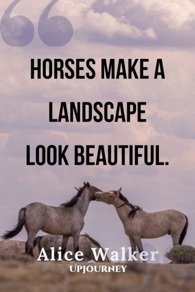 "Horses make a landscape look beautiful." — Alice Walker #horse #quotes #landscape #beautiful