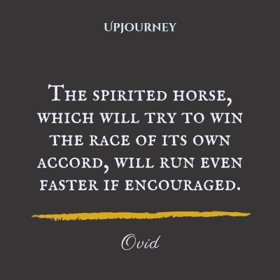 "The spirited horse, which will try to win the race of its own accord, will run even faster if encouraged." — Ovid #horse #quotes #spirited #run 