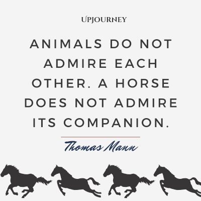 "Animals do not admire each other. A horse does not admire its companion." — Thomas Mann #horse #quotes #animal #companion 