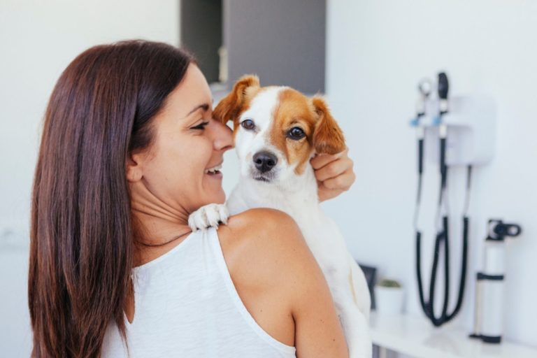 Best Books for Veterinarians and People who Want to Be Vets