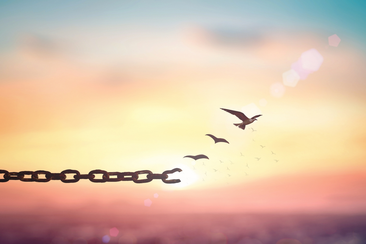 How to Forgive Someone Who Hurt You Emotionally