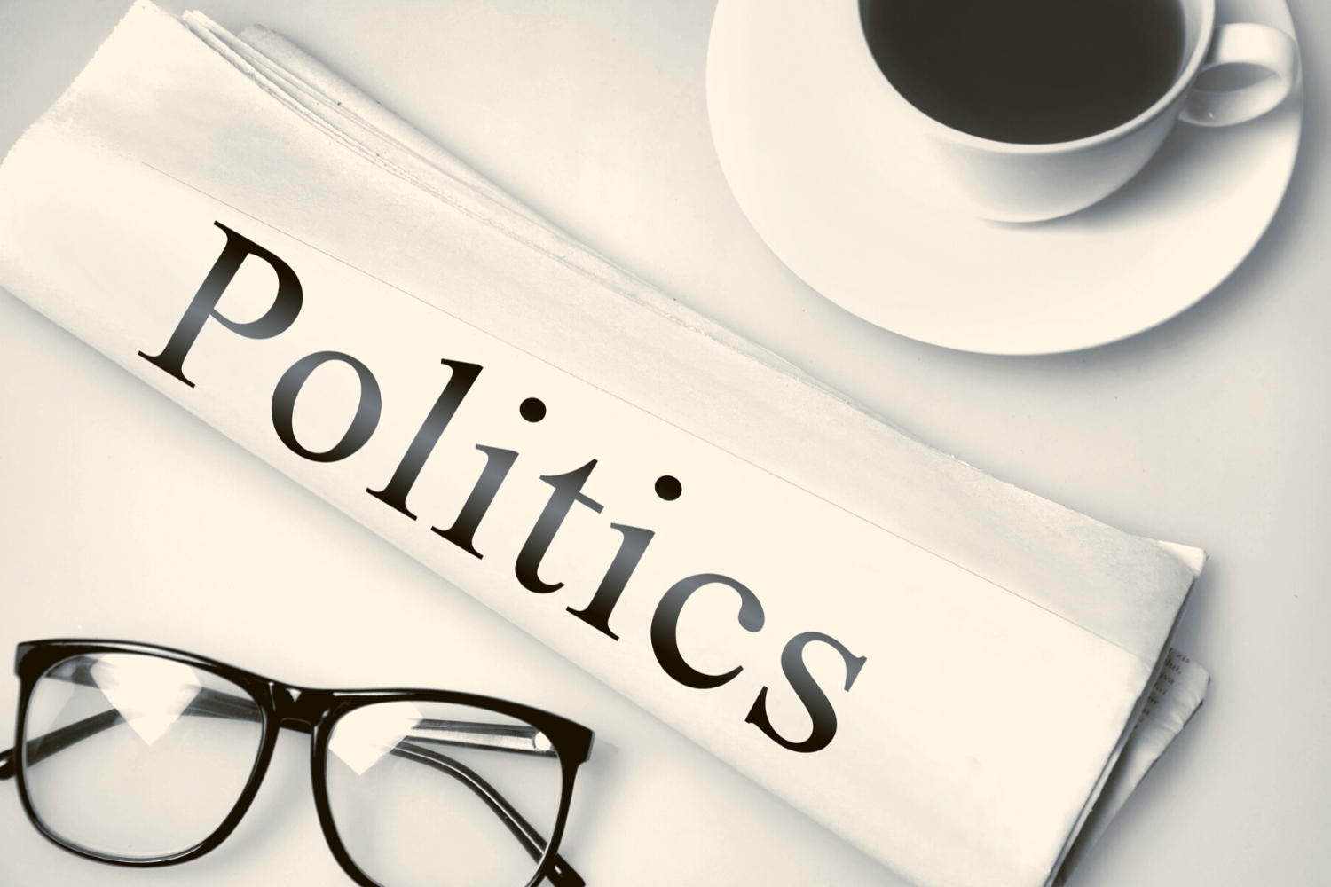 What Is the Main Purpose of a Political Party