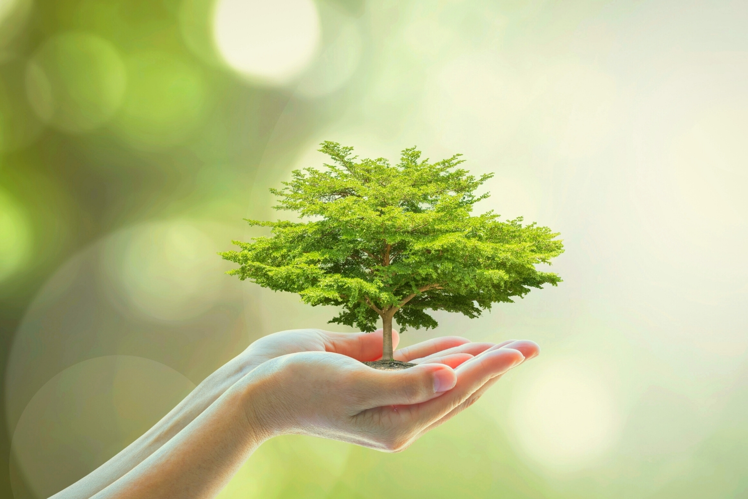 Benefits of Going Green