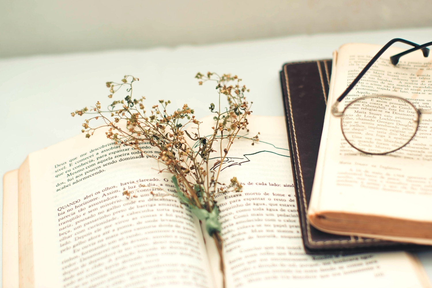 Best Fiction Stories by Haruki Murakami