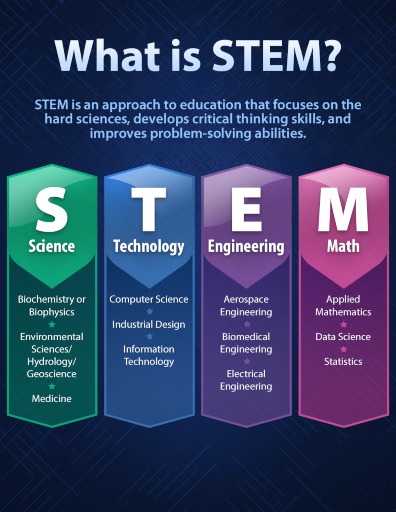 stem meaning