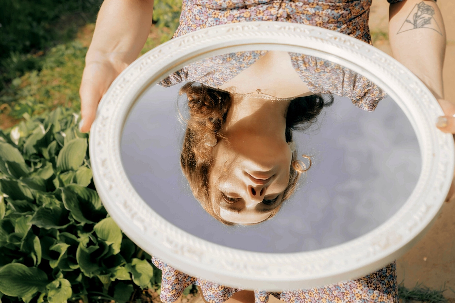 Instinct vs Intuition - What Is the Difference?