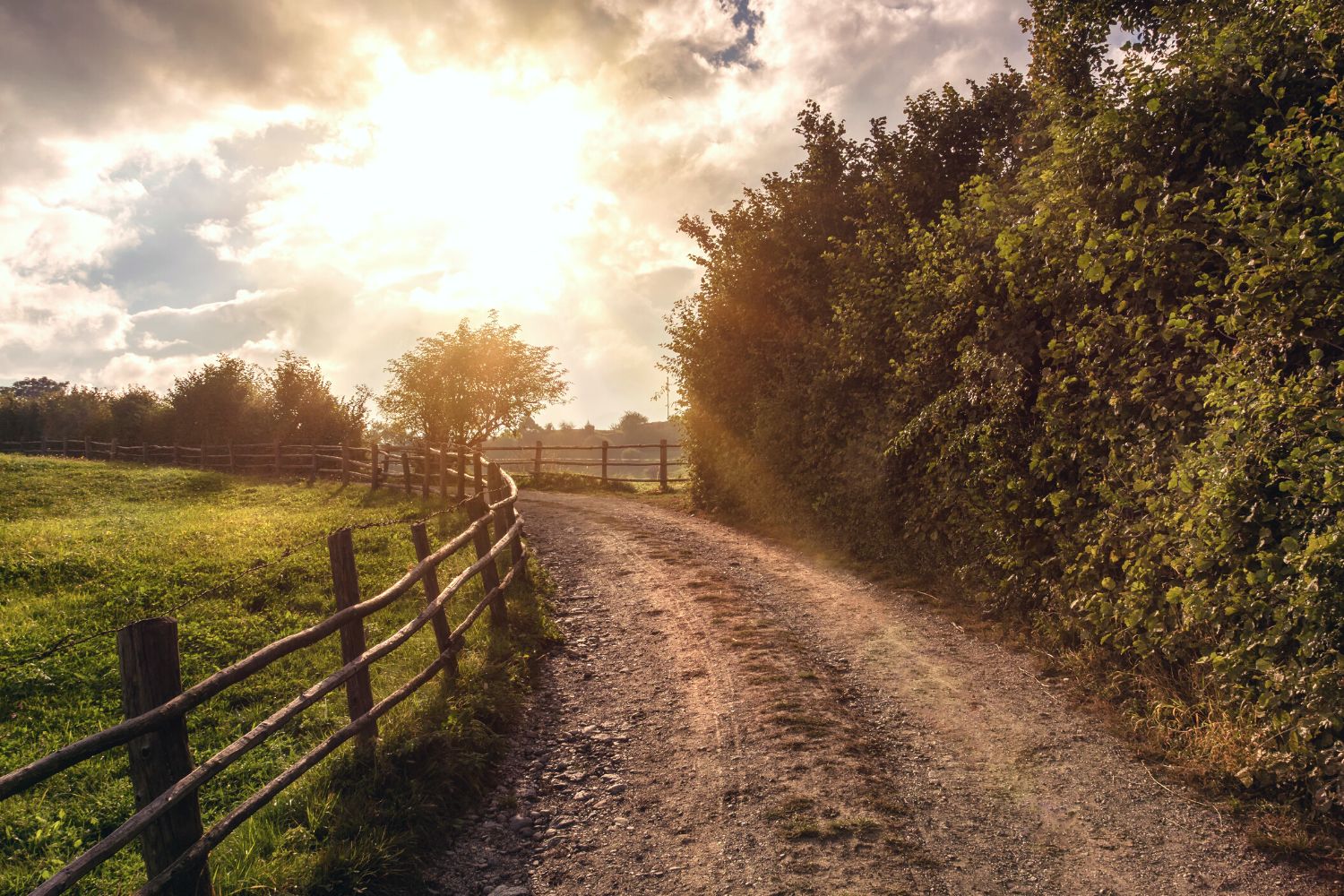 21 Best Jodi Picoult Books