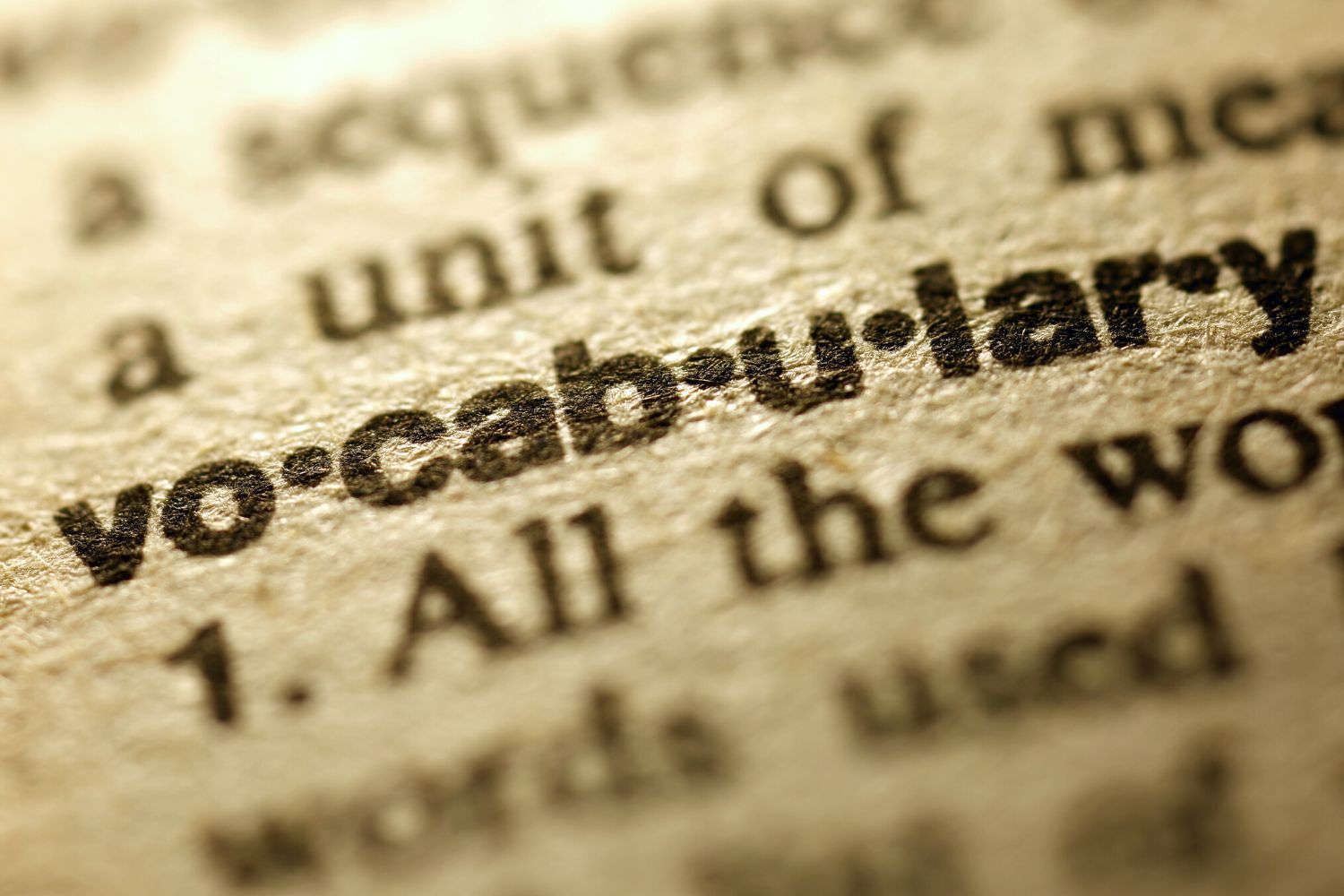 Why Is Vocabulary Important