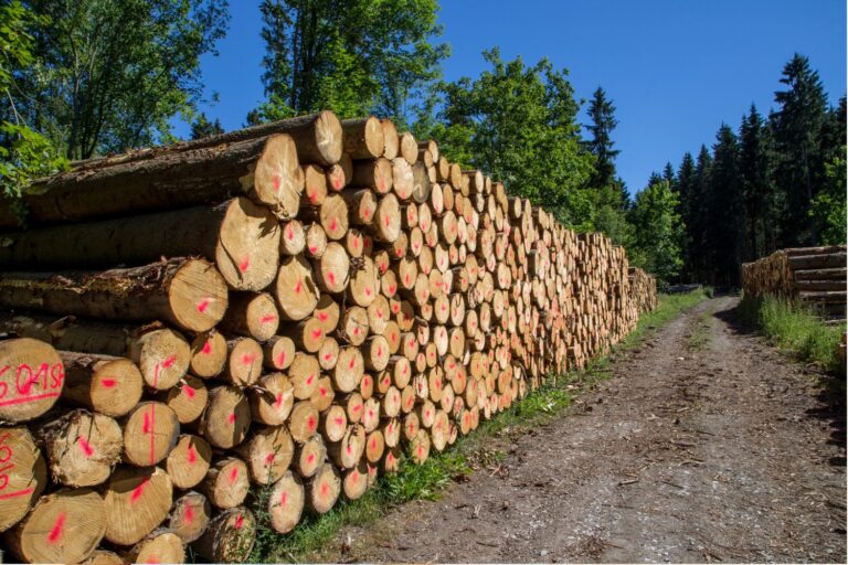 why are natural resources important