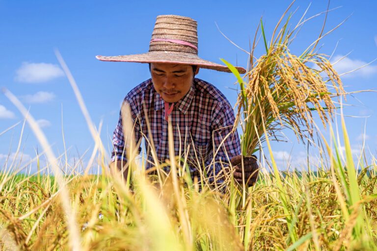 Questions to Ask a Farmer