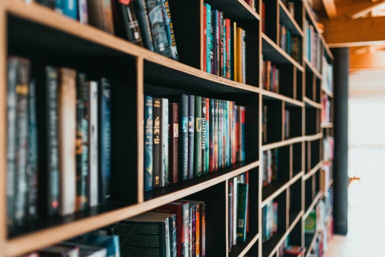 Why Are Libraries Important?