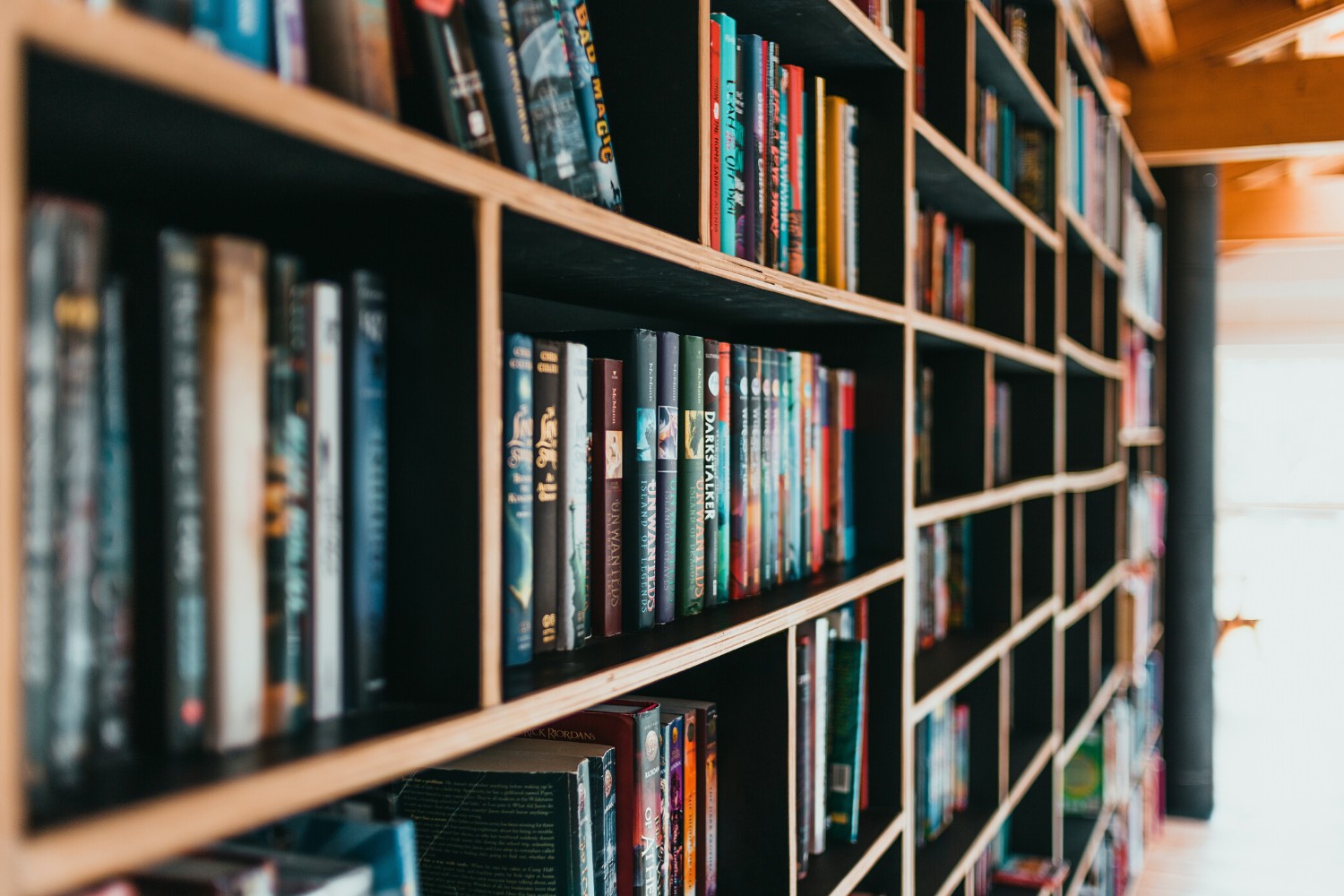 Why Are Libraries Important?