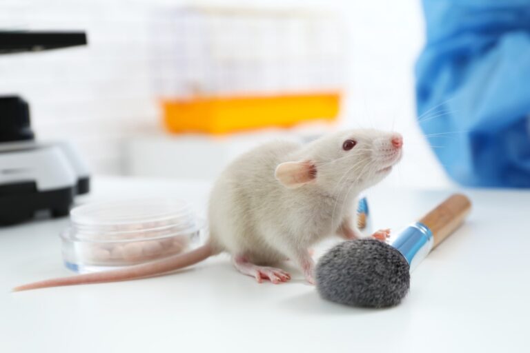 questions to ask about animal testing
