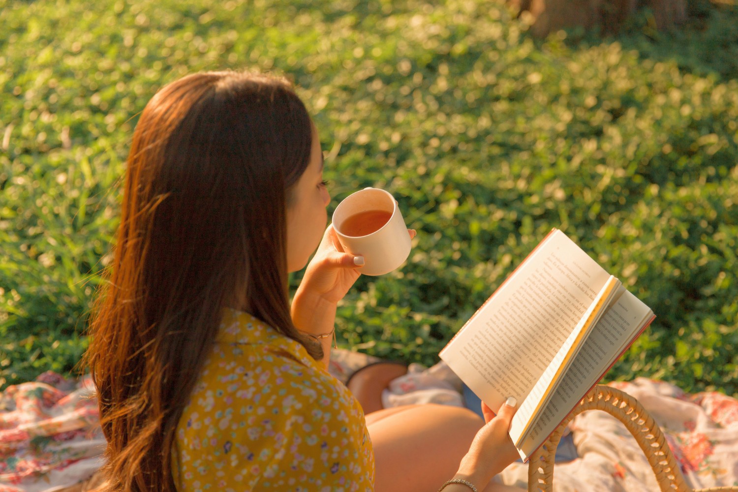 Best Jojo Moyes Books