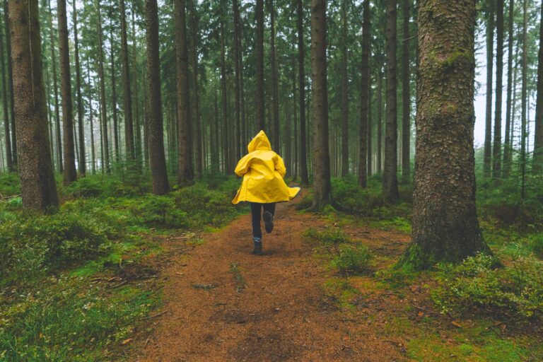 Best Harlan Coben Books