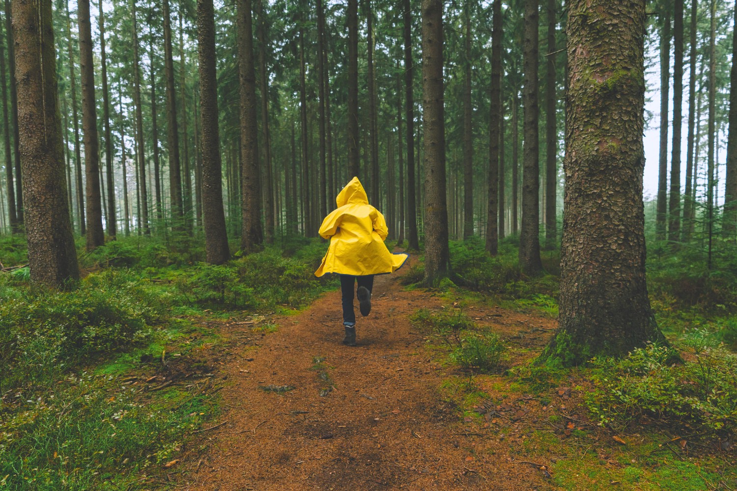 Best Harlan Coben Books