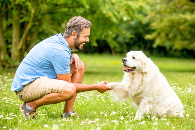 Best Dog Training Books