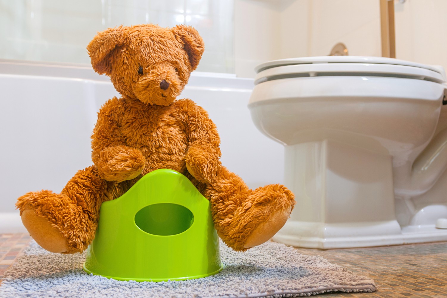 Best Potty Training Books