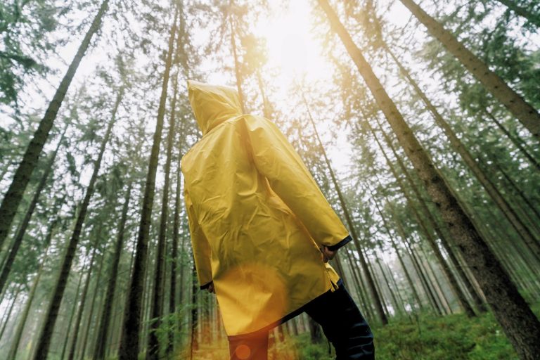 Best Ruth Ware Books