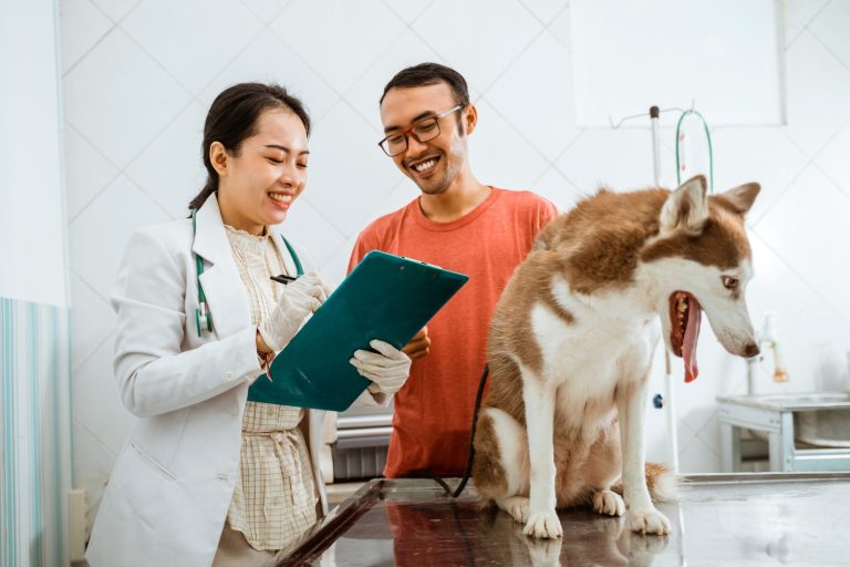 Questions to Ask a Vet About Your Puppy