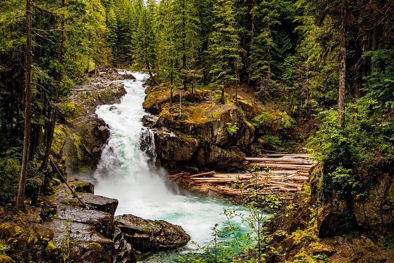 Questions to Ask About Nature