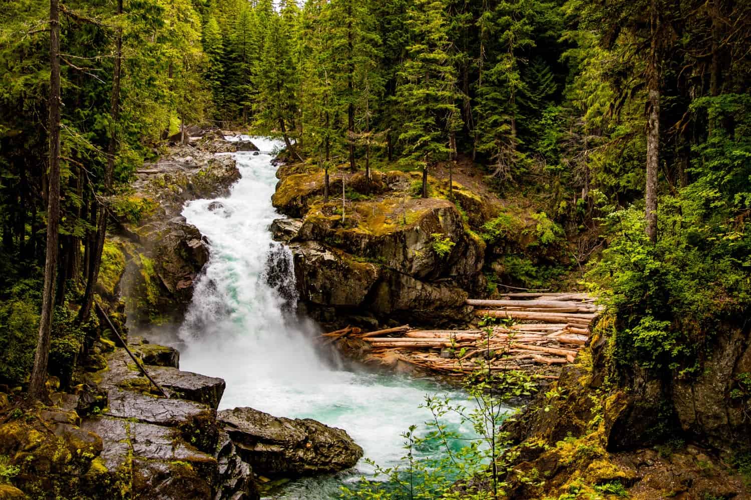 Questions to Ask About Nature