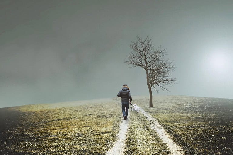 affirmations for finding your path