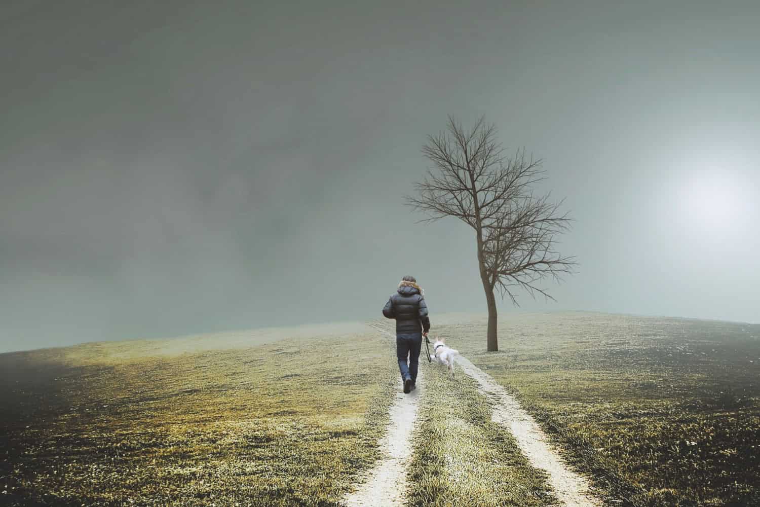 affirmations for finding your path