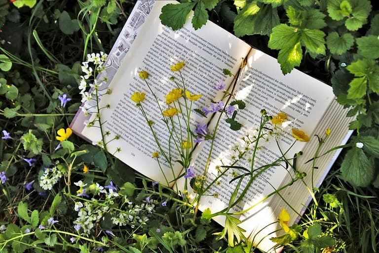 book captions for instagram