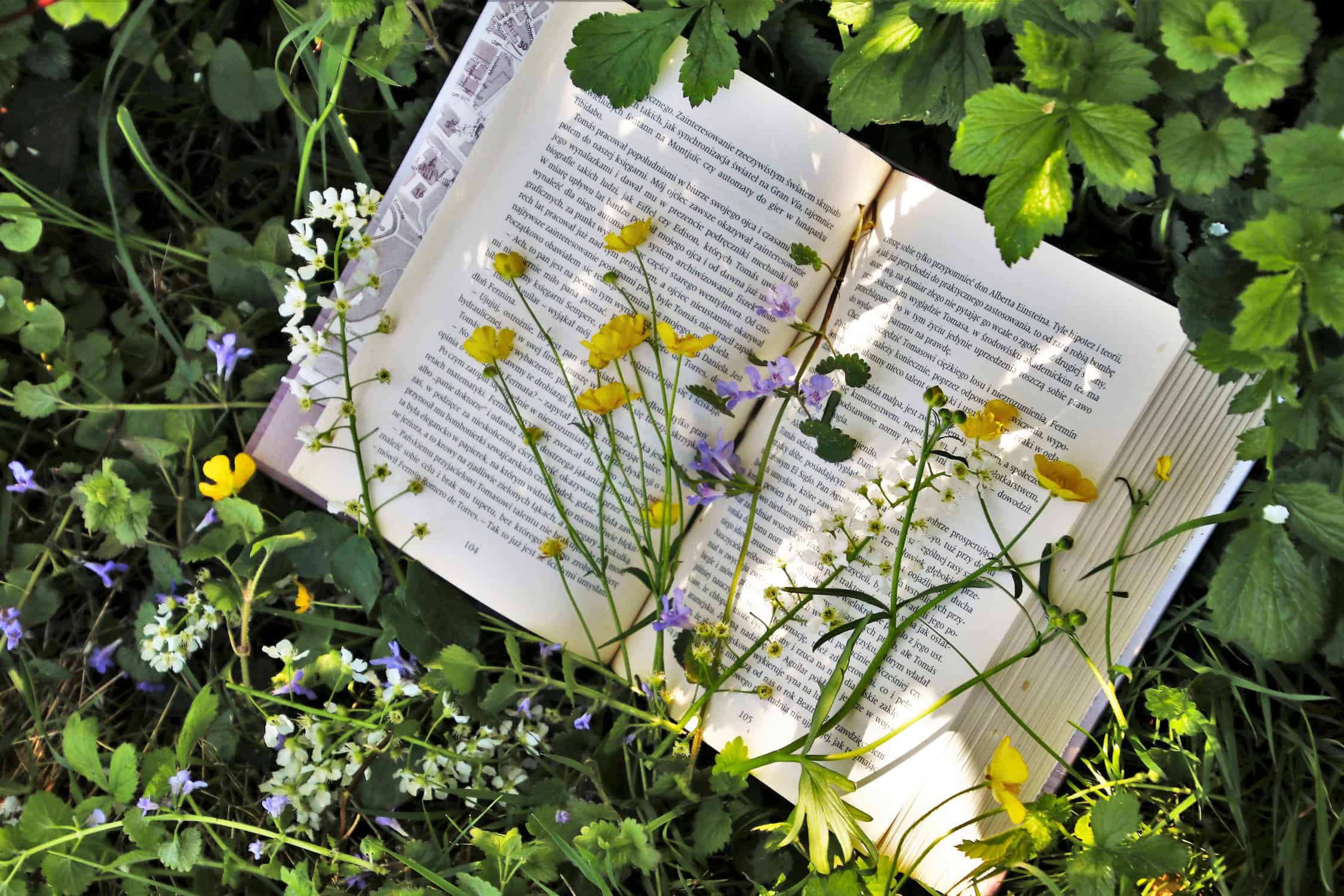 book captions for instagram