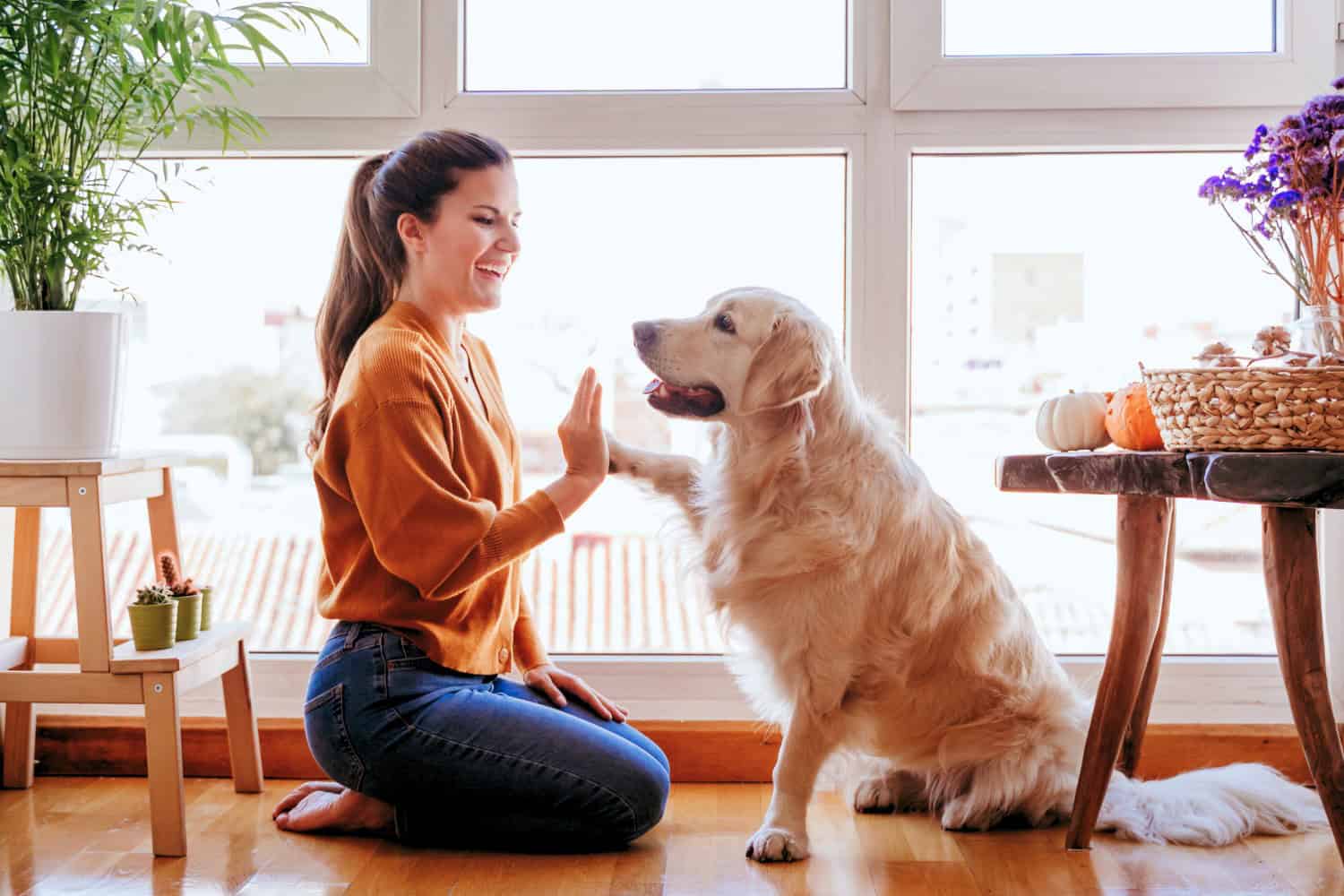 Dog Instagram Captions