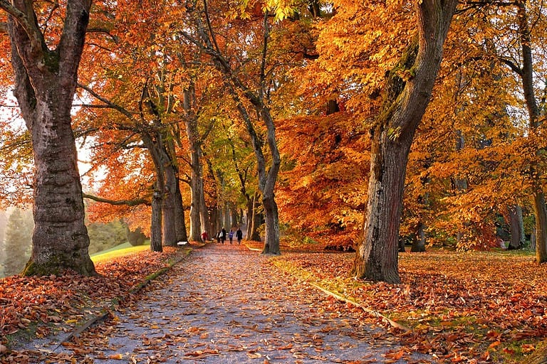 fall instagram captions