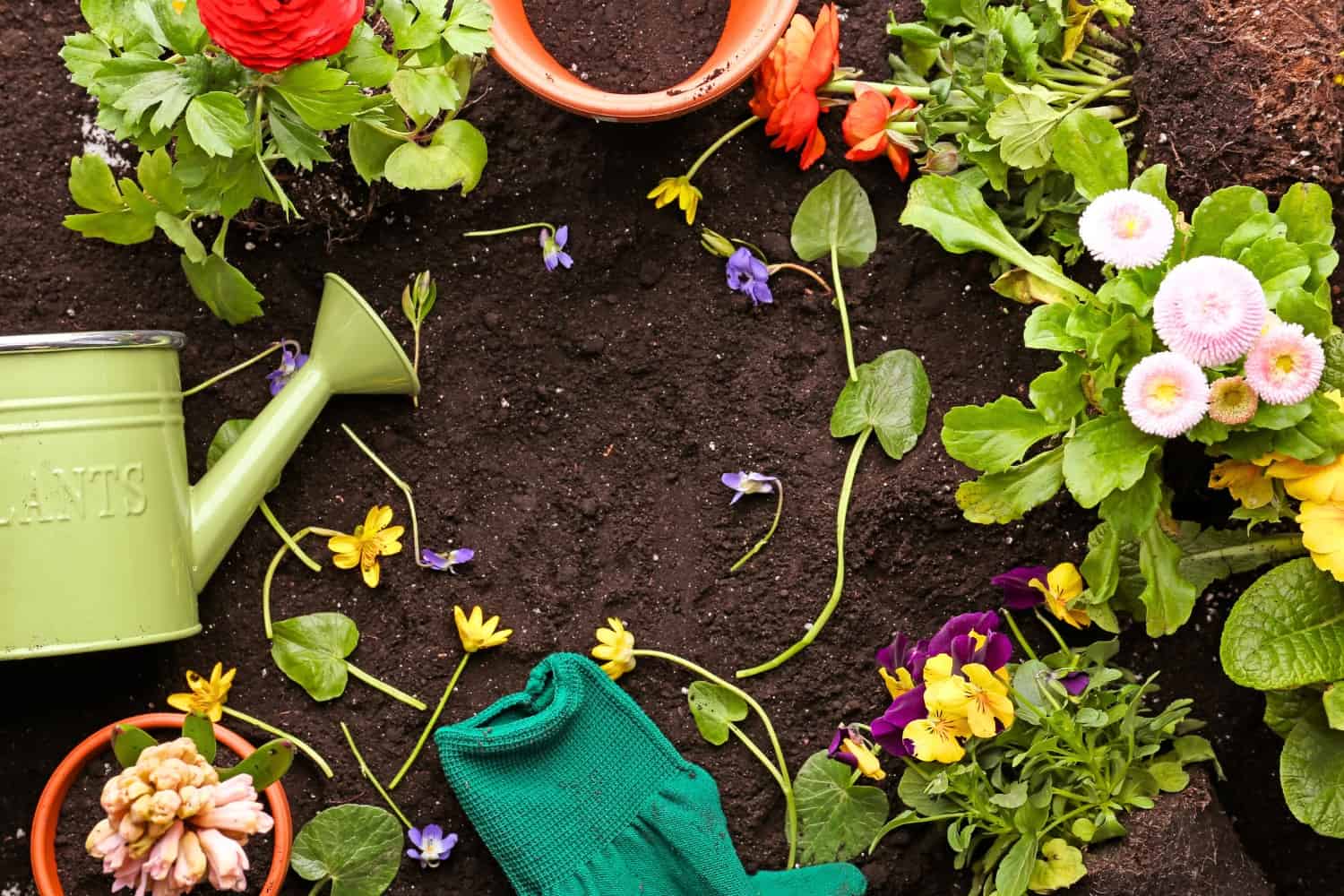 garden instagram captions