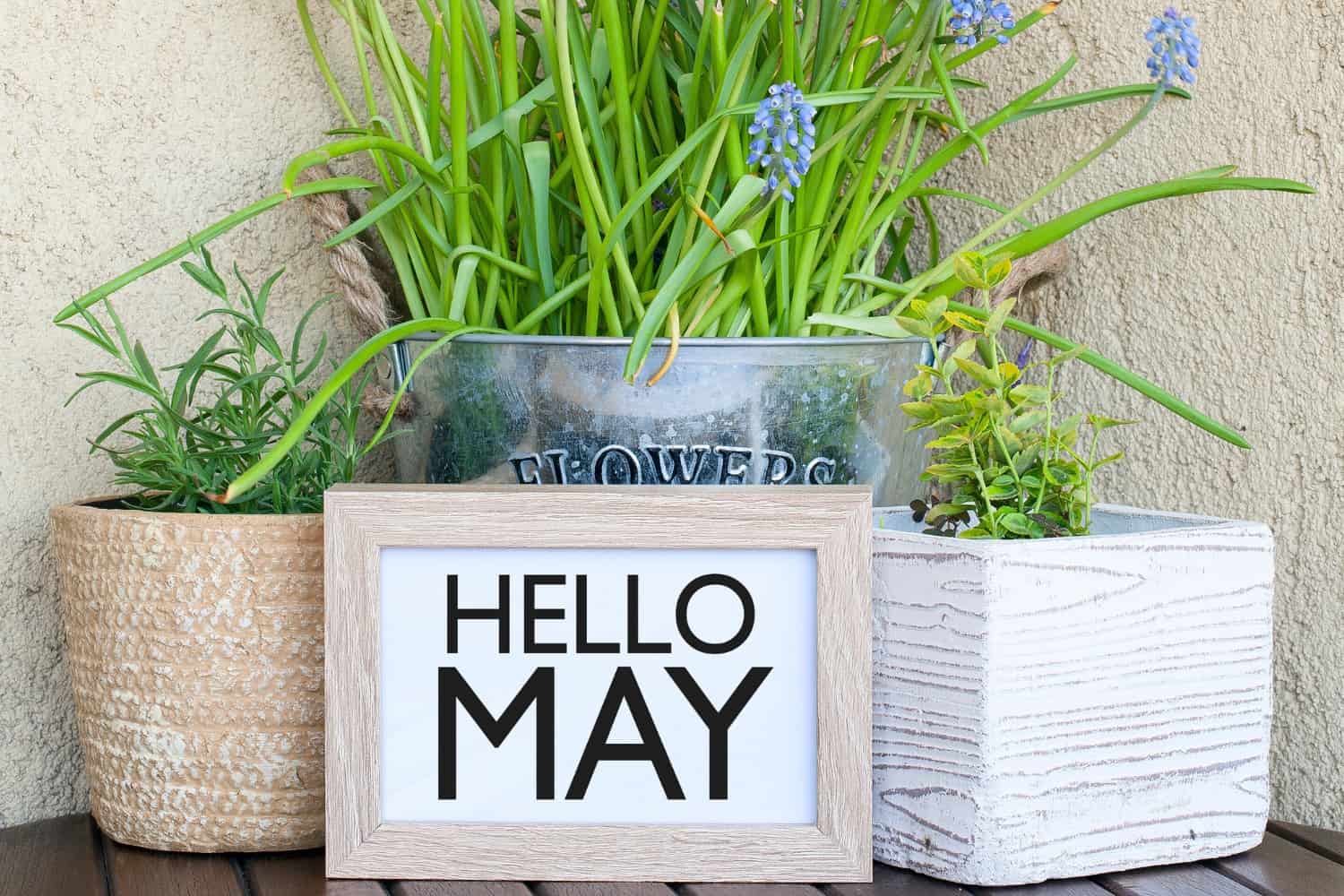 may instagram captions