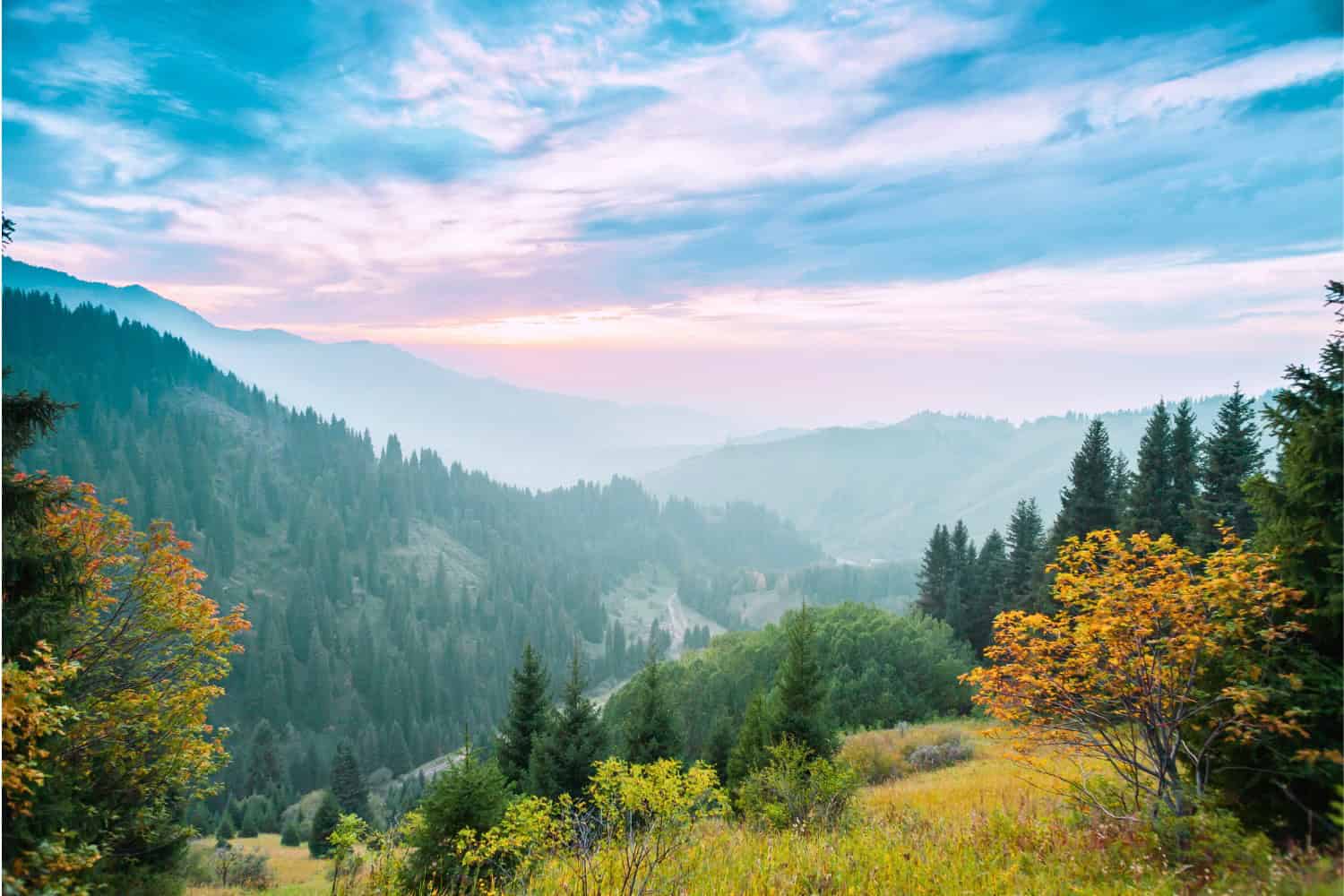 nature journal prompts