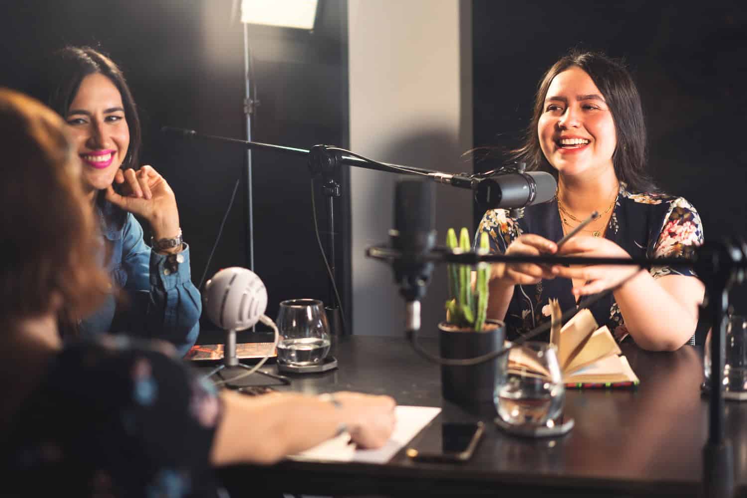 Questions to Ask on a Podcast