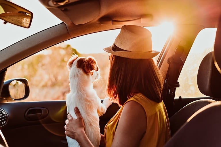 travel instagram captions