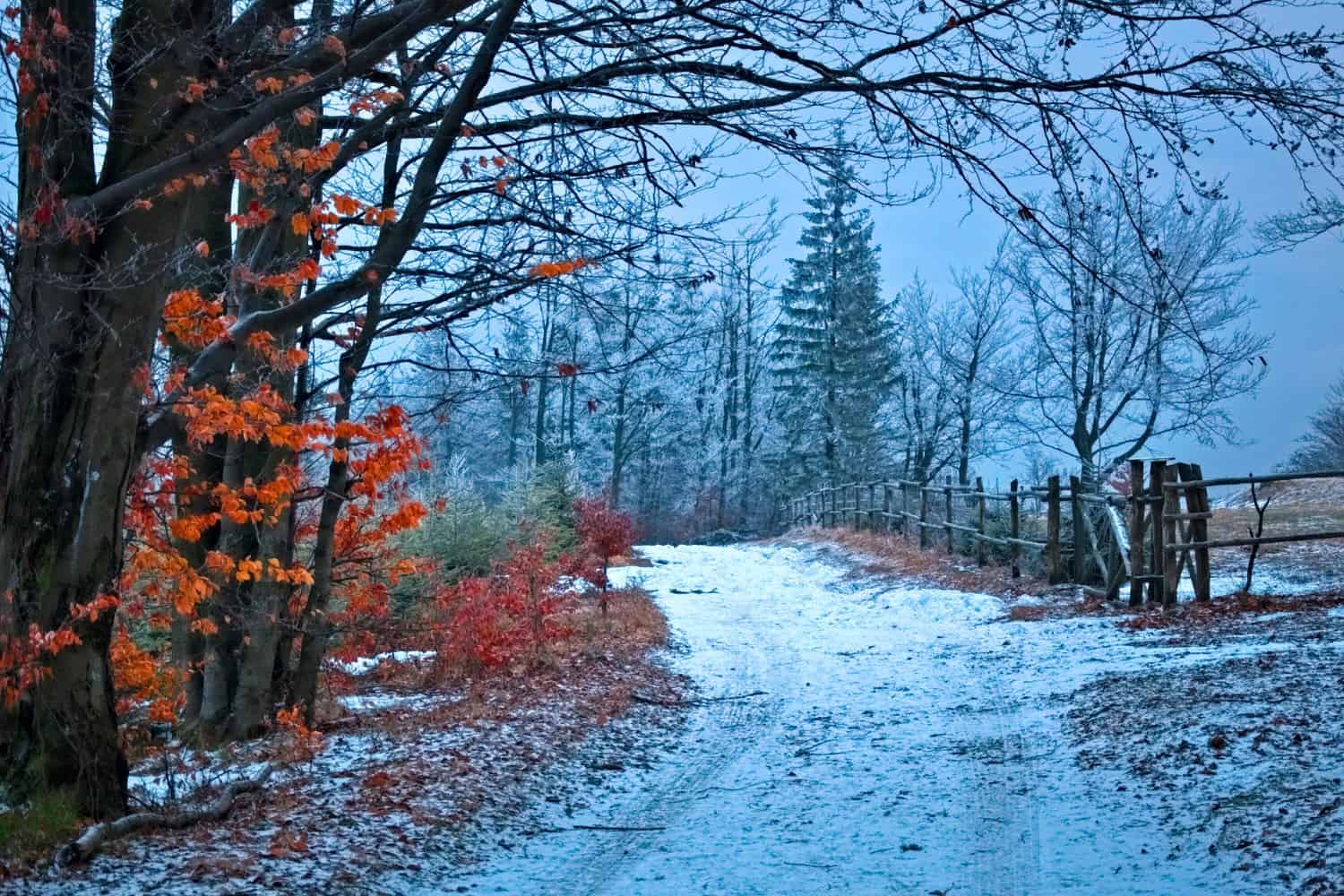 winter instagram captions