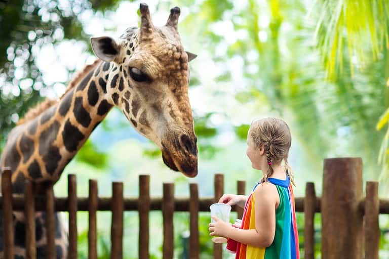 zoo instagram captions