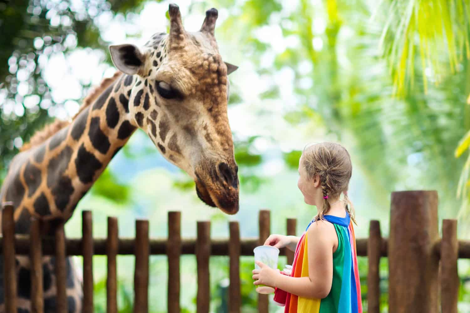 zoo instagram captions