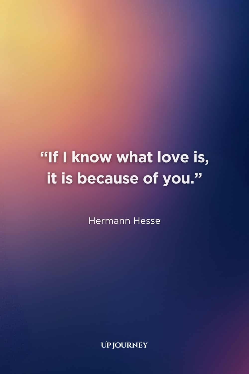 Best “I Can’t Live Without You” Quotes: "If I know what love is, it is because of you." — Hermann Hesse