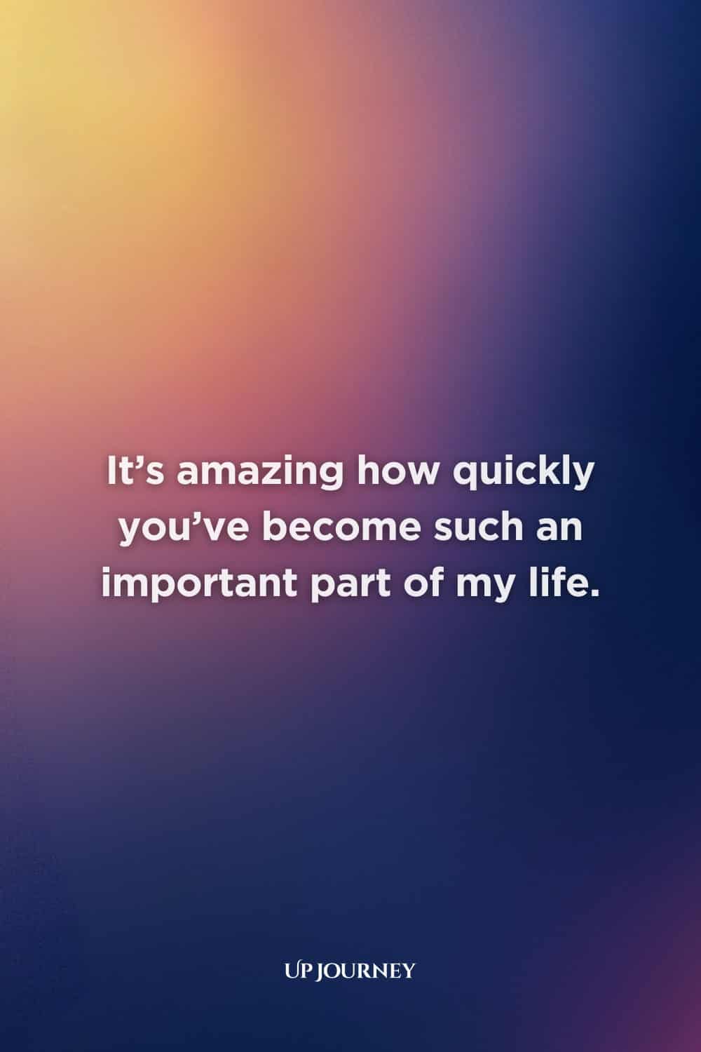 Love Messages for New Relationships: It’s amazing how quickly you’ve become such an important part of my life.